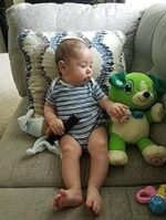 Baby Bear Song Learner - Image 9