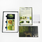 Forest Shuffle - Build Your Own Ecosystem Strategy Game for 2-5 Players - Image 3