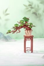 Evergreen Pine Bonsai 3D Wooden Puzzle - Image 2